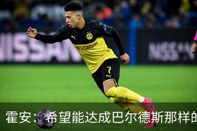 霍安：希望能达成巴尔德斯那样的成就；很遗憾特狮因伤无缘世界杯
